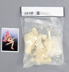 Mobile Suit Gundam SEED Destiny Lacus Clyne Meer Campbell Garage Kit Chara Hobby 2008 C3 HOBBY Exclusive 2 Piece Set Figure [USED]
