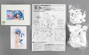 Yuki Onna Freezing Summer Ring Dream Women's Pro Wrestling Taisen 1/8 Resin Cast Kit Event Limited Figure [USED]