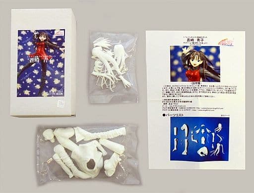 Mahotsukai no Yoru Aoko Aozaki Resin Cast Kit 1/7 Figure [USED]