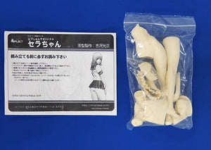 Sera-chan Shunya Yamashita Original 1/7 Resin Cast Kit Figure [USED]