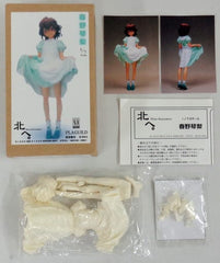 Kita e. White Illumination Kotori Haruno Resin Cast Kit 1/7 Figure [USED]
