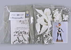 Bunny Yaritoria Fate/Grand Order Garage Kit Treasure Festa Neo in Ariake 3 & Event Limited Figure [USED]