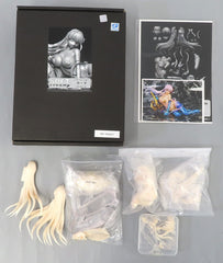 Karma Fate/Grand Order Garage Kit Event Limited Figure [USED]