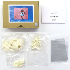 VTuber Hololive Inugami Korone Resin Cast Kit 1/8 Treasure Festa Online 13 & Event Exclusive Figure [USED]