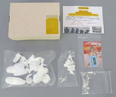 Goddess of Victory: Nikke Anis Sparkling Summer Ver. Garage Kit Wonder Festival 2024 Winter and BOOTH Exclusive Figure [USED]