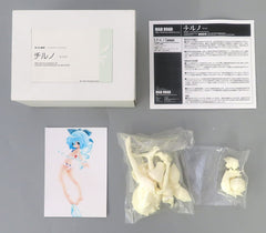 Touhou Koumakyou: The Embodiment of Scarlet Devil Chirno Resin Cast Kit Figure [USED]