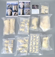 Godzilla Godzilla Evolution Garage Kit Figure [USED]