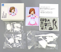 Alice Gear Aegis Shiina Sutegoro Cream & Butter Uniform Garage Kit Wonder Festival 2024 Summer & Event Exclusive Figure [USED]