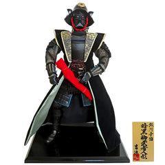 Star Wars Darth Vader Warrior Doll Figure [USED]