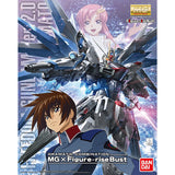 Freedom Gundam Ver.2.0 ZGMF-X10A Kira Yamato Mobile Suit Gundam SEED MG Dramatic Combination 1/100 Plastic Model [USED]