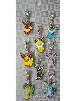 Eevee Eevee Evoluved Pokemon National Pokedex Metal Charm Pokemon Center Limited Set of 8 Charm [USED]