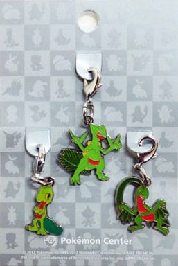 Treecko Grovyle Sceptile Pokemon National Pokedex Metal Charm Pokemon Center Limited Set of 3 Charm [USED]