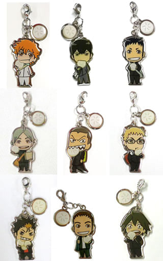 Shoyo Hinata, etc. Haikyu!! Metal Charm Series All 9 Types Set Charm [USED]