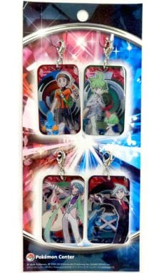 Main Character Boy Pokemon Omega Ruby Alpha Sapphire Printed Metal Charm Set Charm [USED]
