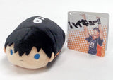 Tobio Kageyama Haikyu!! Noru Chara Mascot Jump Festa 2016 Limited Key Chain [USED]