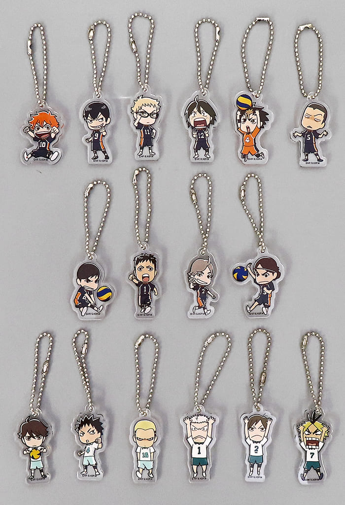 Shoyo Hinata, etc. Haikyu!! Acrylic Charms J-World Spring High School Preliminaries2 Limited All 16 Types Set Charm [USED]