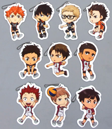 Shoyo Hinata, etc. Haikyu!! Kyun Chara Illustrations Character Type Big Tag Vol.3 All 10 Types Set Key Chain [USED]