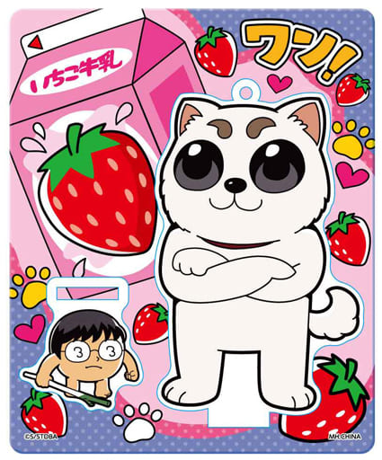 Sadaharu Shinpachi Gintama X Okawa Bukubu Oshanti Acrylic Mascot Mascot [USED]