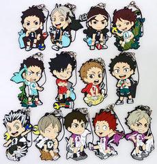 Daichi Sawamura, etc. Haikyu!! Ichiban Kuji Connect!! Trajectory to the Nation!! Rubber Strap Kyun Chara Illustrations 3 Years Prize S All 13 Types Set Key Chain [USED]