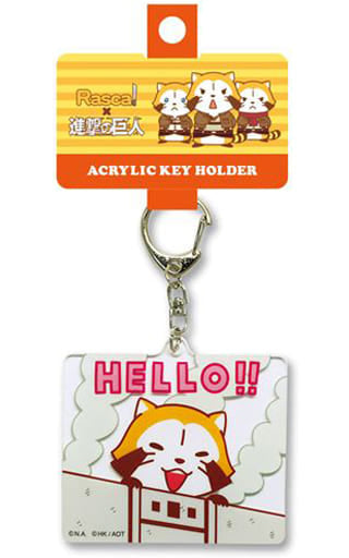 Rascal Hello!! Raccoon Rascal X Attack on Titan Acrylic Key Chain Key Chain [USED]