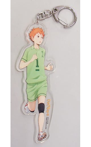 Shoyo Hinata Haikyu!! Memory Full Body Acrylic Key Ring animate Limited Key Chain [USED]