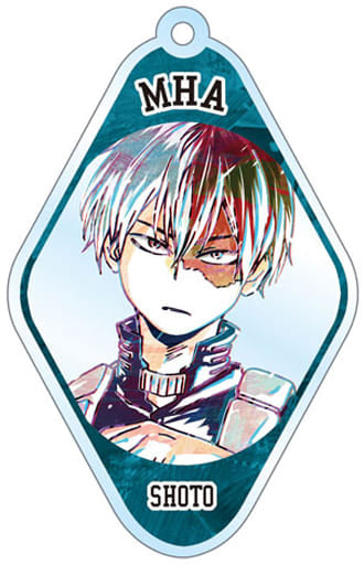 My Hero Academia Shoto Todoroki Trading Ani-Art Acrylic Keychain Keychains [USED]