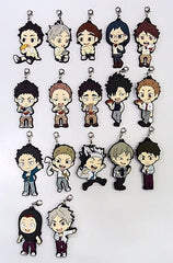 Daichi Sawamura, etc. Haikyu!! Ichiban Kuji Match Breathing Rubber Charm Kyun Chara Illustrations 3 Years Prize O All 17 Types Set Charm [USED]