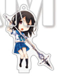 Yukina Himeragi Strike the Blood Dengeki Bunko Trading Acrylic Mascot Acrylic Item [USED]