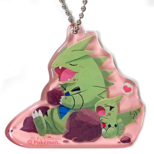 Larvitar Tyranitar Pokemon Taiki Bansei Acrylic Charm Collection Charm [USED]