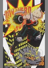 My Hero Academia Katsuki Bakugo Acrylic Stand VS Villain Acrylic Stands [USED]