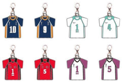 Shoyo Hinata, etc. Haikyu!! Trading Metal Charms All 8 Types Set Charm [USED]