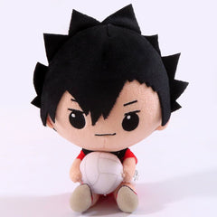 Tetsuro Kuroo Haikyu!! Minnano Kuji Goods Collection Prize C Plush Toys [USED]