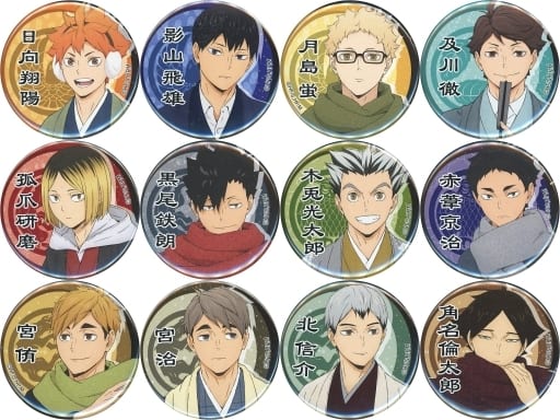Shoyo Hinata, etc. Haikyu!! TO THE TOP Trading Can Badge All 12 Types Set Tin Badge [USED]