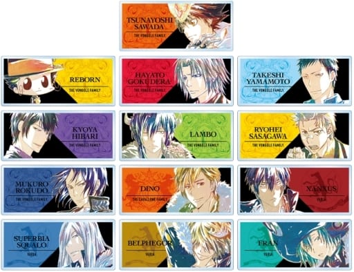 Tsunayoshi Sawada, etc. Reborn! Ani-Art Trading Acrylic Name Plates Part 2 All 13 Types Set Acrylic Item [USED]