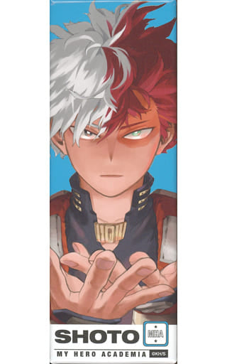 My Hero Academia Shoto Todoroki Jump GIGA June 2021 Cover Picture Card Badge Collection Part 1 Buttons [USED]