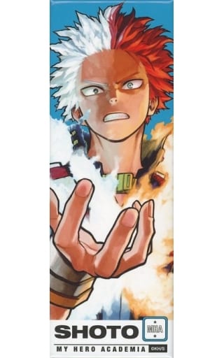 My Hero Academia Shoto Todoroki Quirk Picture Card Badge Collection Part 1 Buttons [USED]