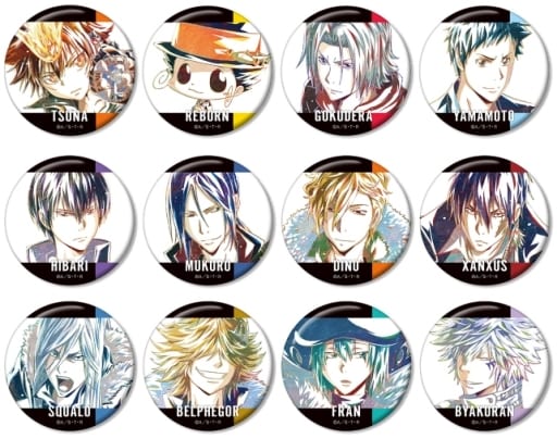 Tsunayoshi Sawada, etc. Reborn! Ani-Art Trading Can Badge Part 4 All 12 Types Set Tin Badge [USED]