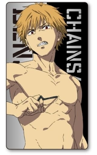 Chainsaw Man Denji Pins Collection Pins [USED]
