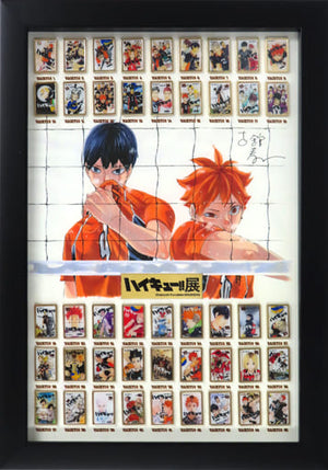 Shoyo Hinata Haikyu!! Complete Comics Pins Set Haikyu!! Exhibition Limited Made-to-Order Limited Lapel Pin [USED]