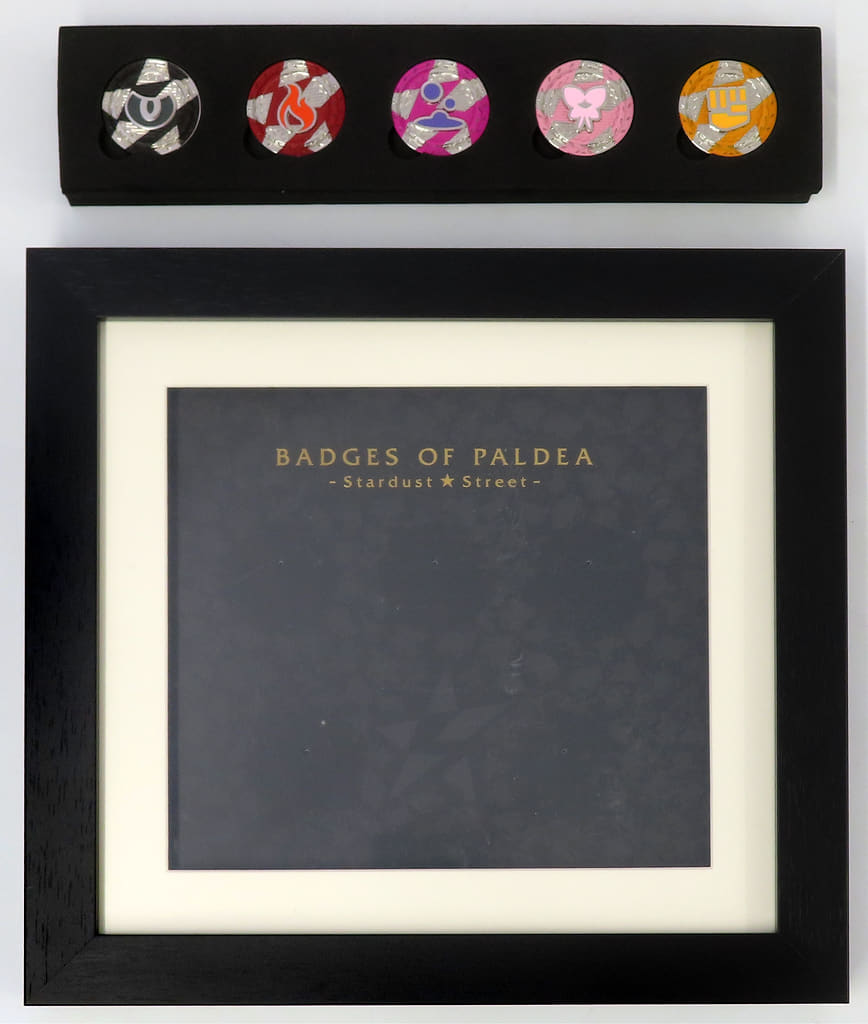 Pokemon Stardust Street Set Badge Collection Pokemon Center Limited Badge [USED]