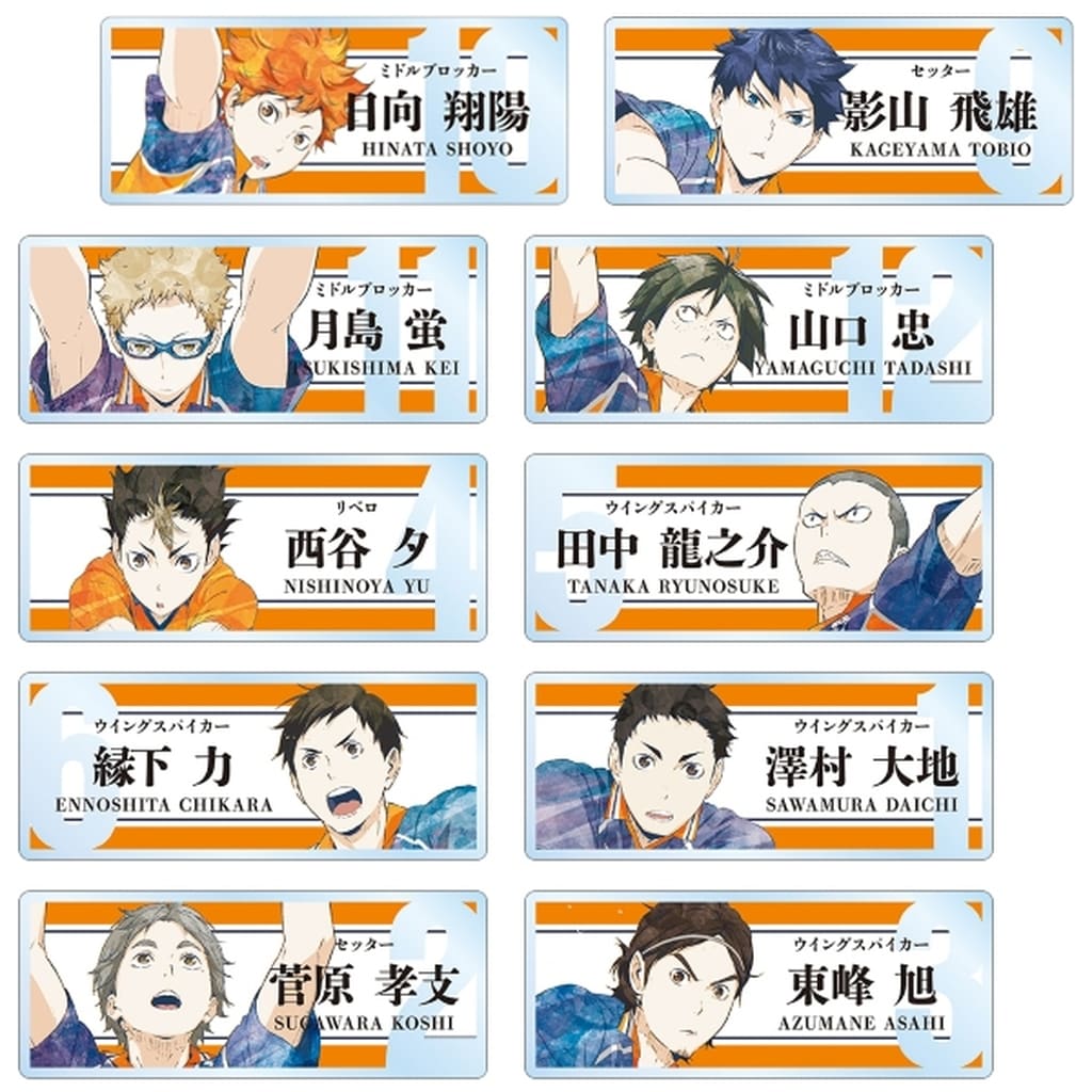 Shoyo Hinata, etc. Haikyu!! Ani-Art Trading Acrylic Name Plates Part 3 All 10 Types Set Acrylic Item [USED]