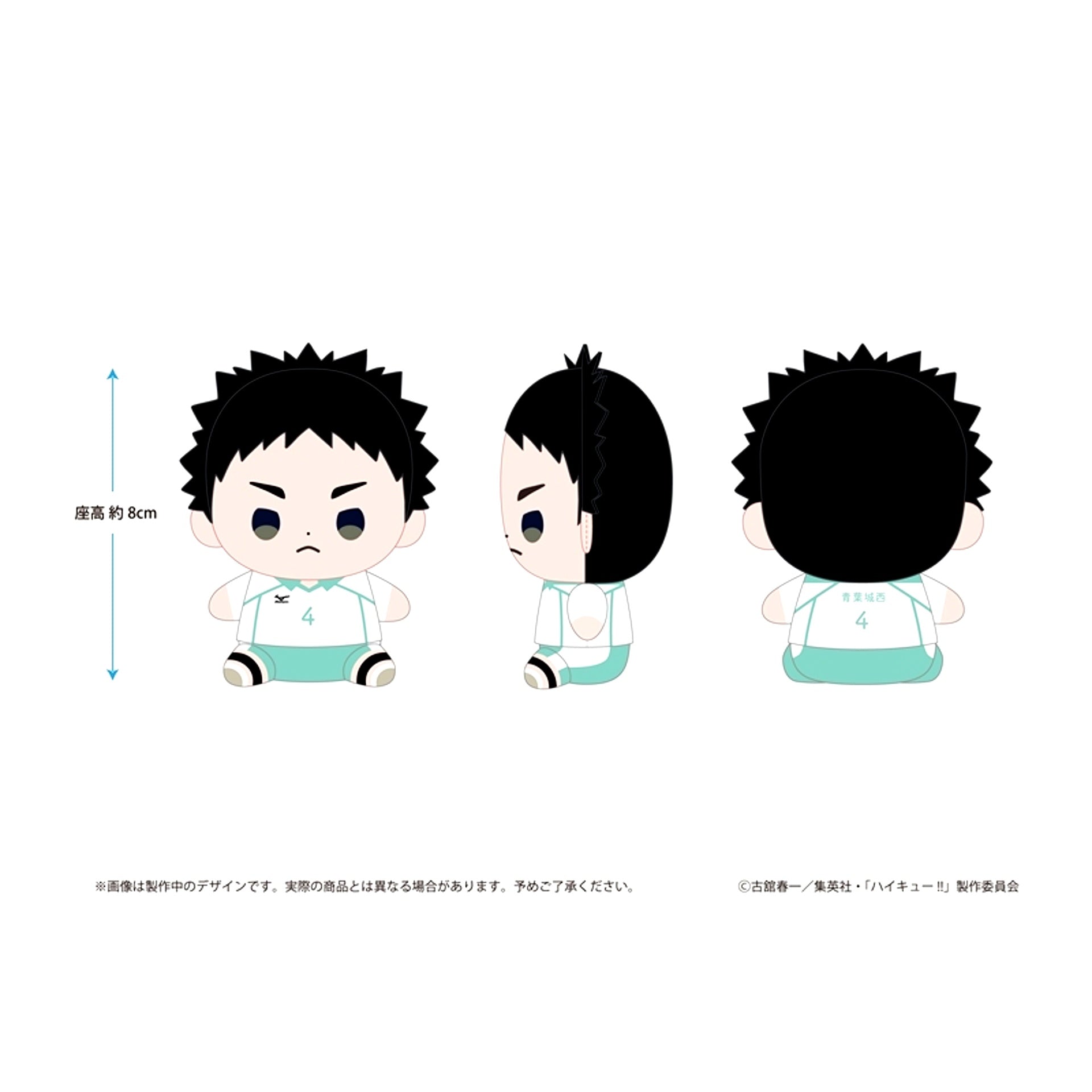 Haikyu!! Haikyu!! Mochibi Plush Hajime Iwaizumi [NEW]