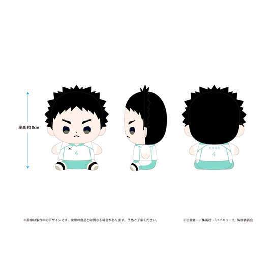 Haikyu!! Haikyu!! Mochibi Plush Hajime Iwaizumi [NEW]