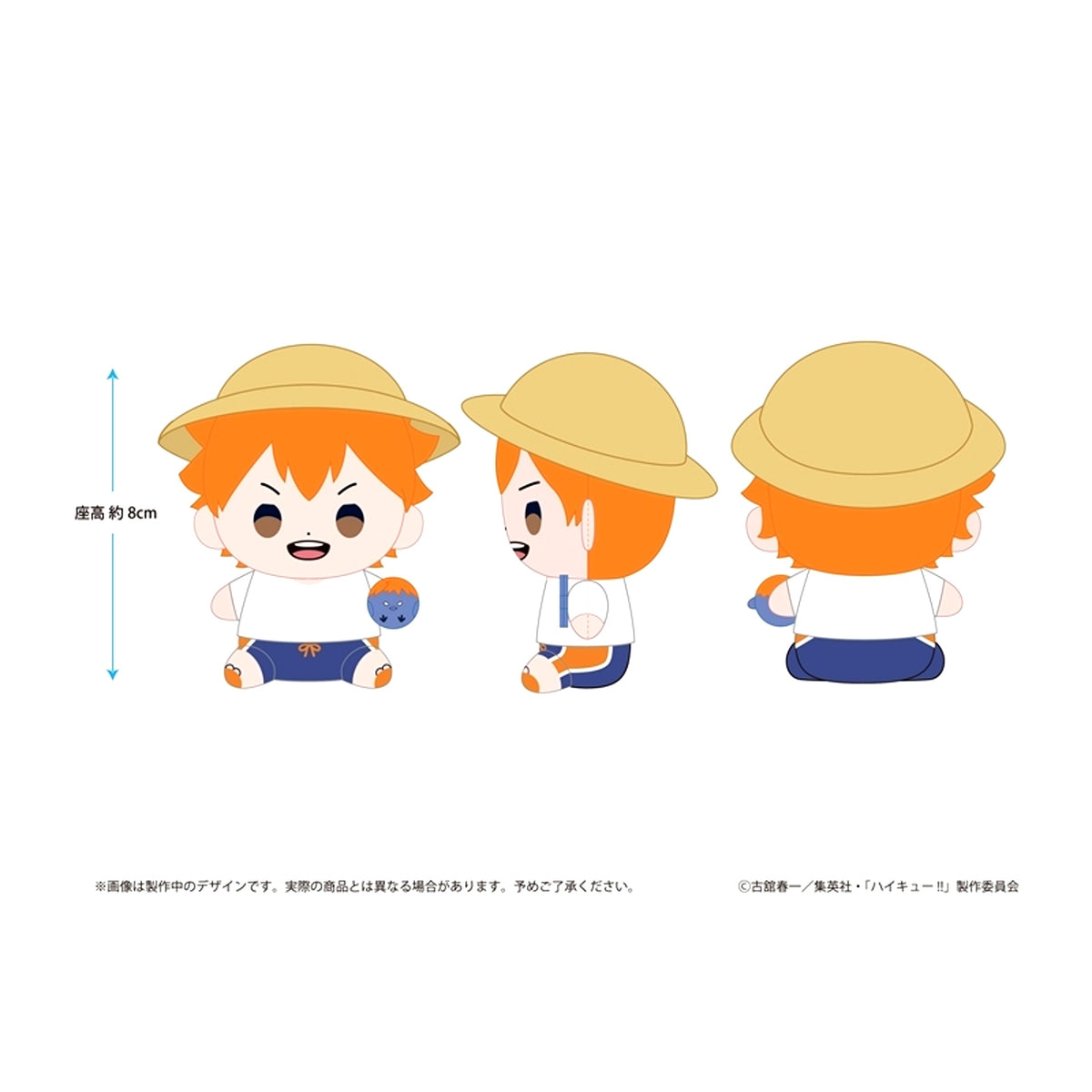 Haikyu!! Haikyu!! Mochibi Plush Shoyo Hinata Beach Ball ver. [NEW]
