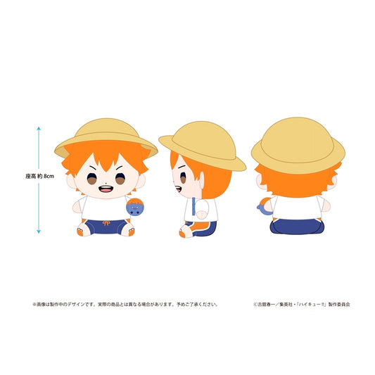 Haikyu!! Haikyu!! Mochibi Plush Shoyo Hinata Beach Ball ver. [NEW]