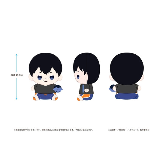Haikyu!! Haikyu!! Mochibi Plush Tobio Kageyama Beach Ball ver. [NEW]