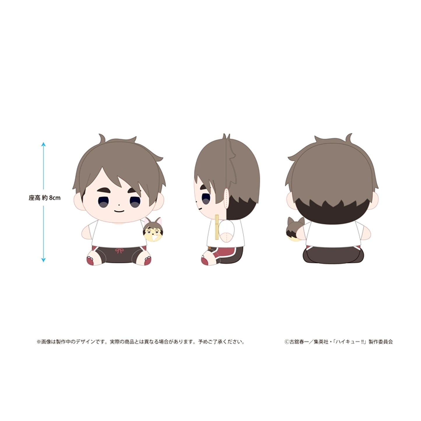 Haikyu!! Haikyu!! Mochibi Plush Osamu Miya Beach Ball ver. [NEW]