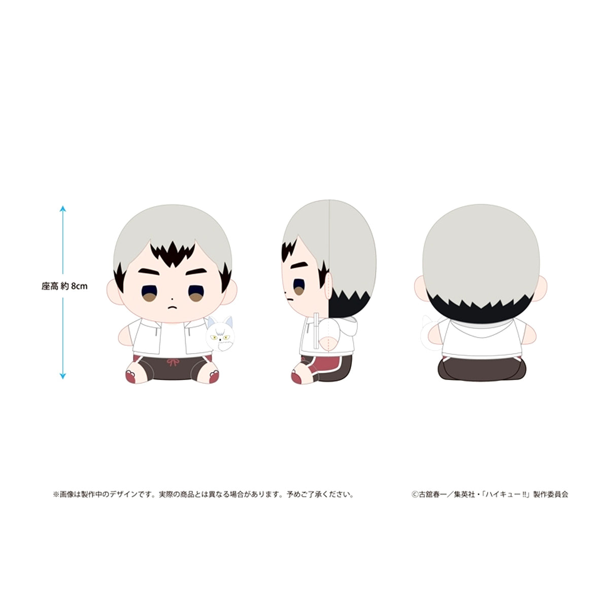 Haikyu!! Haikyu!! Mochibi Plush Shinsuke Kita Beach Ball ver. [NEW]