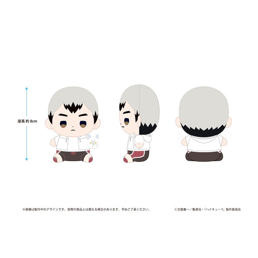 Haikyu!! Haikyu!! Mochibi Plush Shinsuke Kita Beach Ball ver. [NEW]