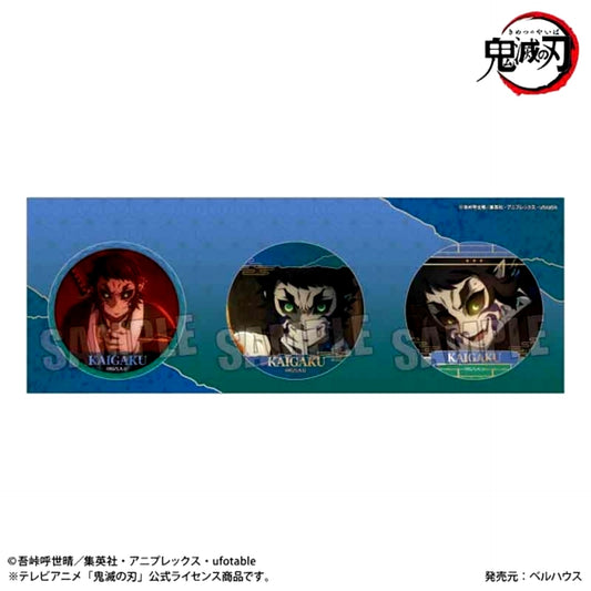 Anime Demon Slayer: Kimetsu no Yaiba Button Set Kaigaku Goods - Badge [NEW]